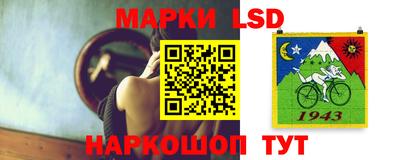 шишки Новозыбков