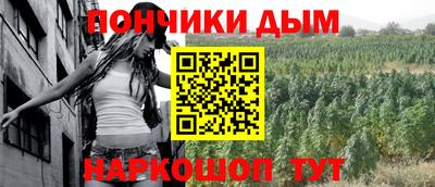 шишки Новозыбков