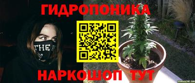 соль ск Новокубанск