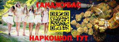 шишки Новозыбков