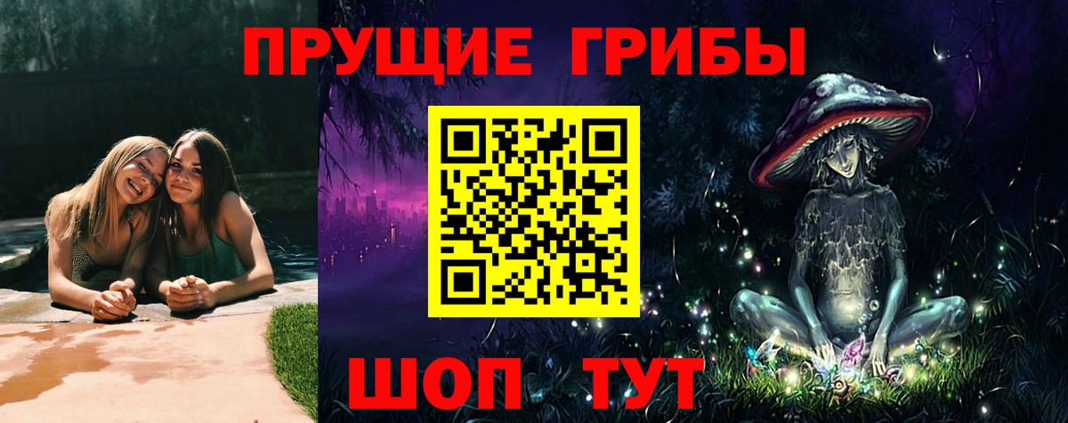 как найти   Псилоцибиновые грибы Psilocybine cubensis  Вход с VPN  Тайшет 
