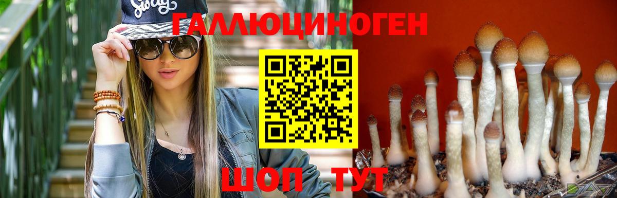Галлюциногенные грибы GOLDEN TEACHER Тайшет